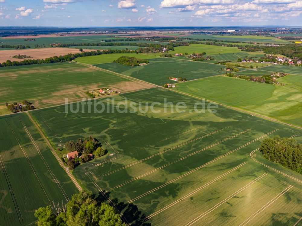 Luftaufnahme Küstriner Vorland - Acker mit sichtbarem ehemaligen Bachverlauf Auswaschung in Küstriner Vorland im Bundesland Brandenburg, Deutschland