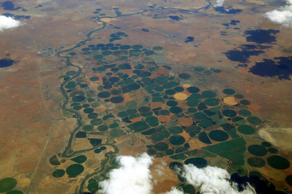 Luftaufnahme Rietrivier - Agrar- Landschaft mit Bewässerungsanlagen an den Uferbereichen des Flusses Rietrivier in Jakobsdal in Freistaat, Südafrika