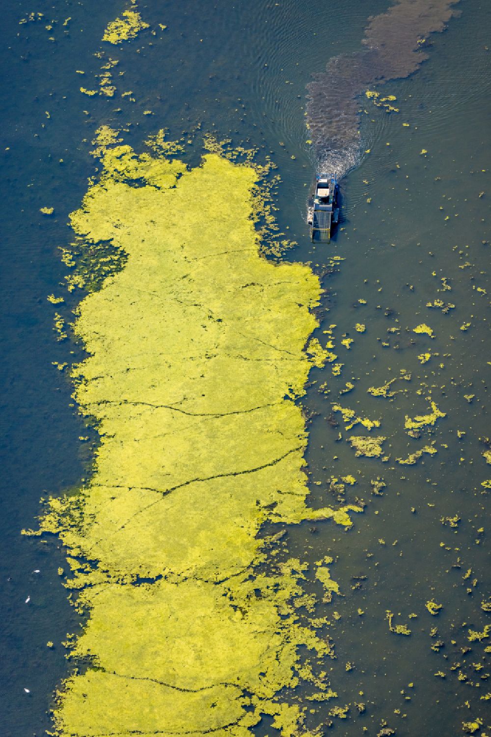 Herbede aus der Vogelperspektive: Algen Berge- Spezialschiff in Fahrt auf dem Kemnader See in Herbede im Bundesland Nordrhein-Westfalen, Deutschland
