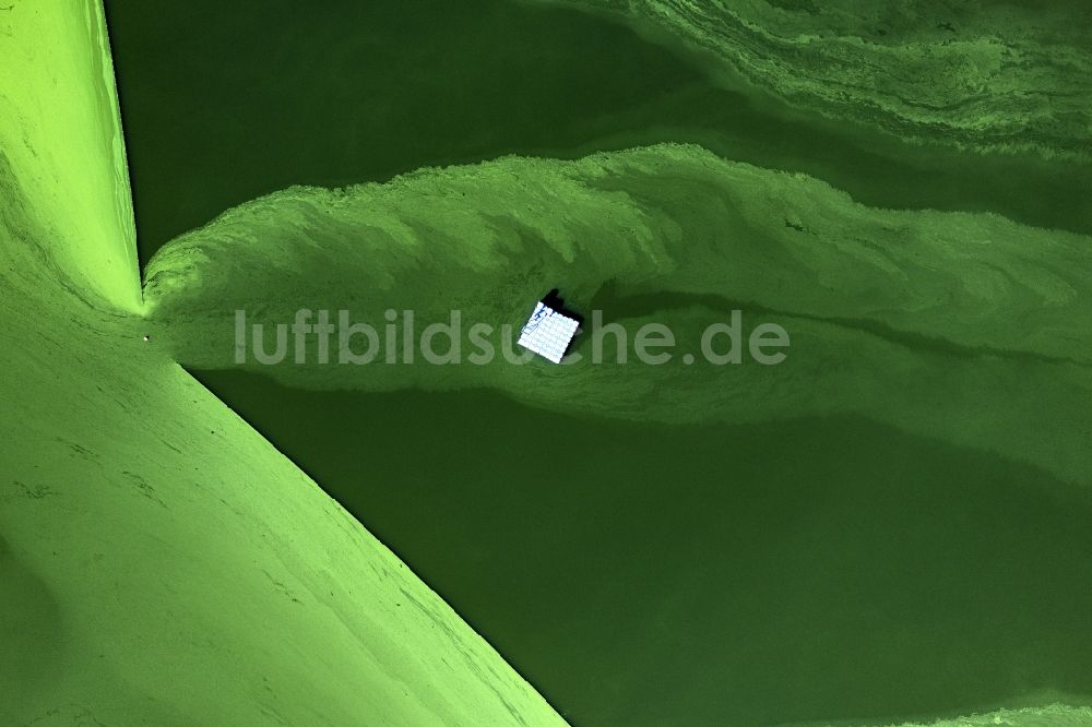 Luftaufnahme Wittenborn - Algen auf der Wasseroberfläche Mözener See in Wittenborn im Bundesland Schleswig-Holstein, Deutschland