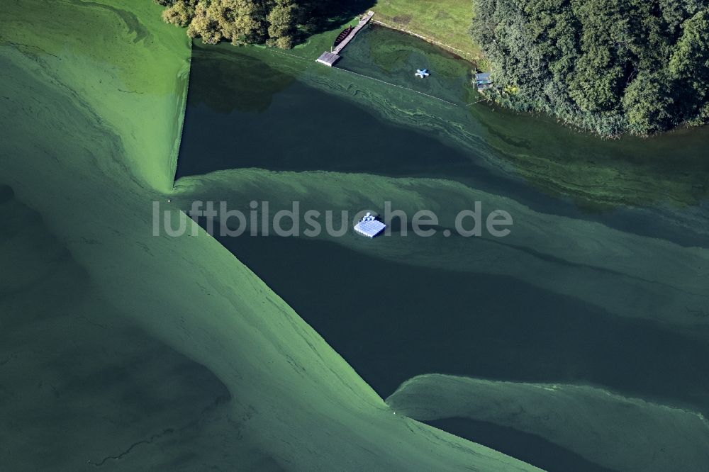 Wittenborn aus der Vogelperspektive: Algen auf der Wasseroberfläche Mözener See in Wittenborn im Bundesland Schleswig-Holstein, Deutschland