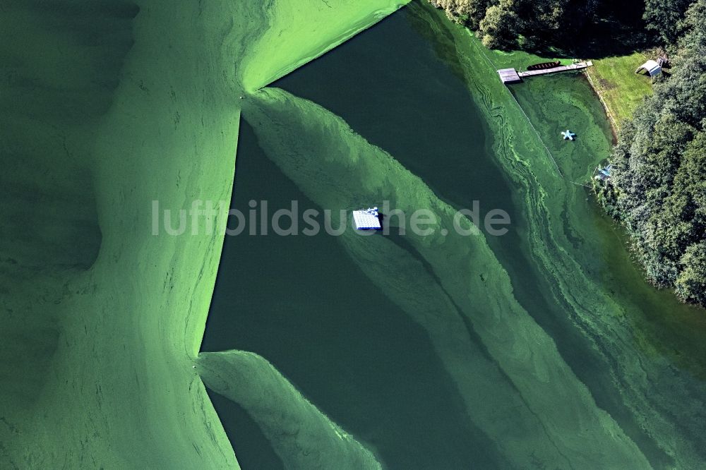 Luftbild Wittenborn - Algen auf der Wasseroberfläche Mözener See in Wittenborn im Bundesland Schleswig-Holstein, Deutschland