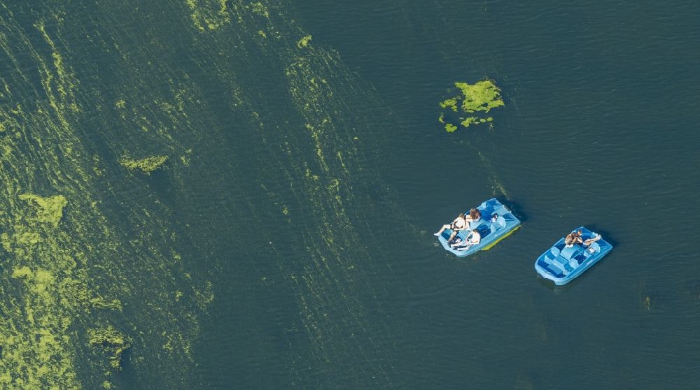 Luftaufnahme Witten - Algenwuchs an der Spitze der Landzunge des Kemnader See bei Witten im Bundesland Nordrhein-Westfalen