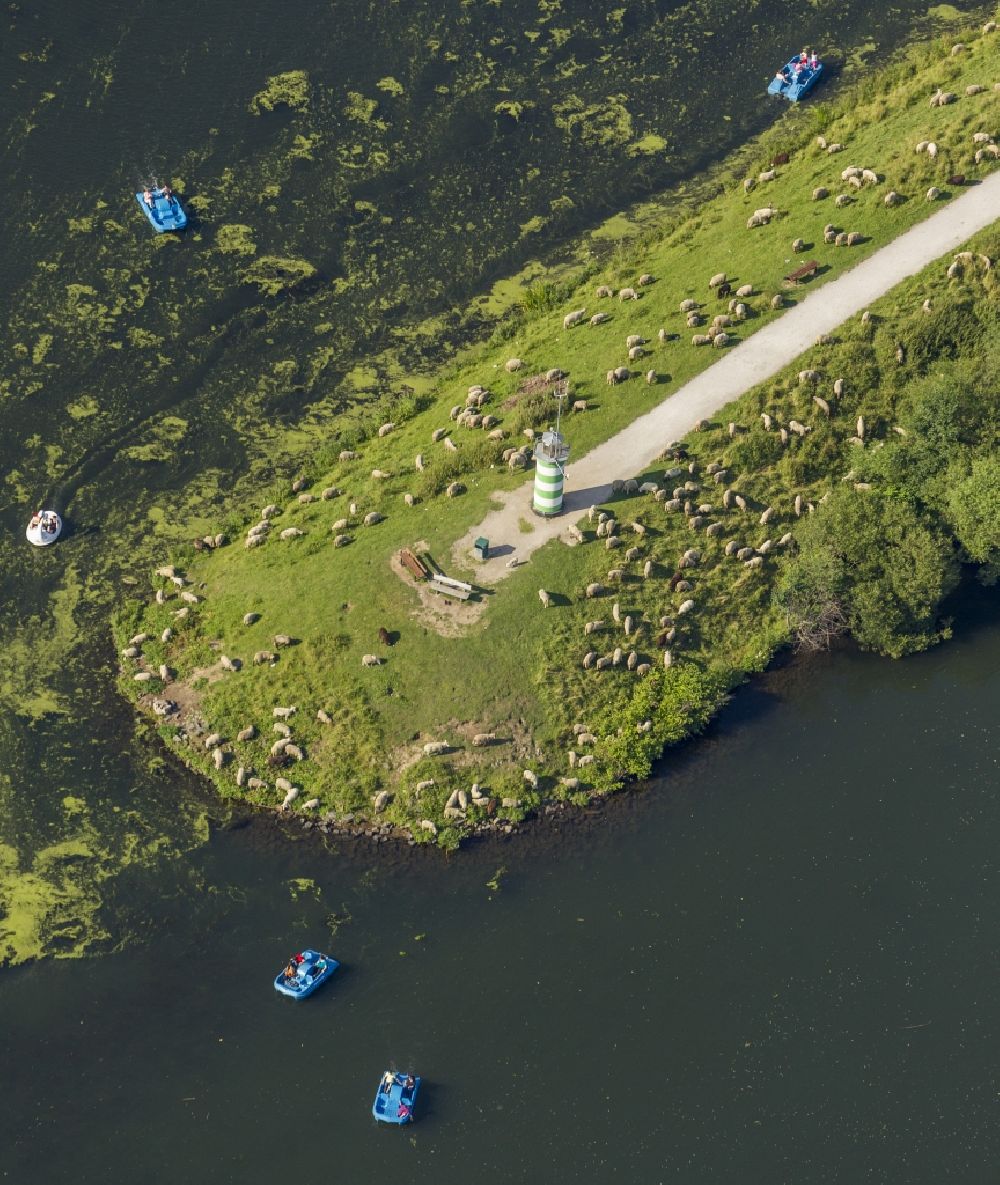 Witten aus der Vogelperspektive: Algenwuchs an der Spitze der Landzunge des Kemnader See bei Witten im Bundesland Nordrhein-Westfalen