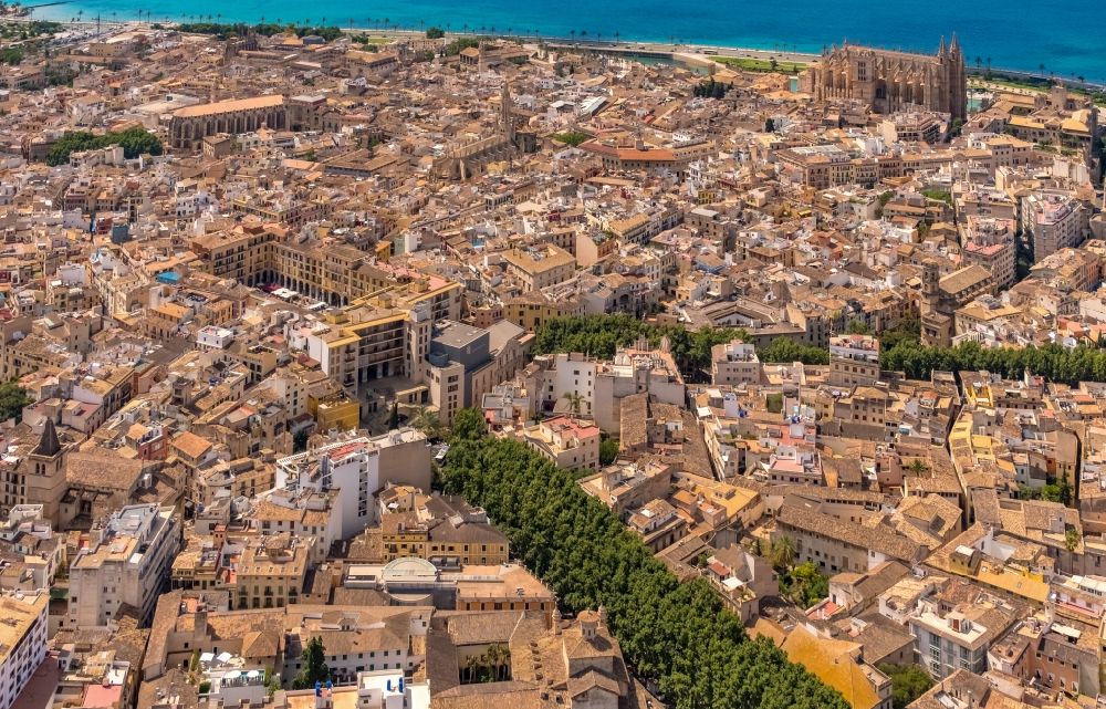 Palma von oben - Altstadtbereich und Innenstadtzentrum in Palma in Balearische Insel Mallorca, Spanien