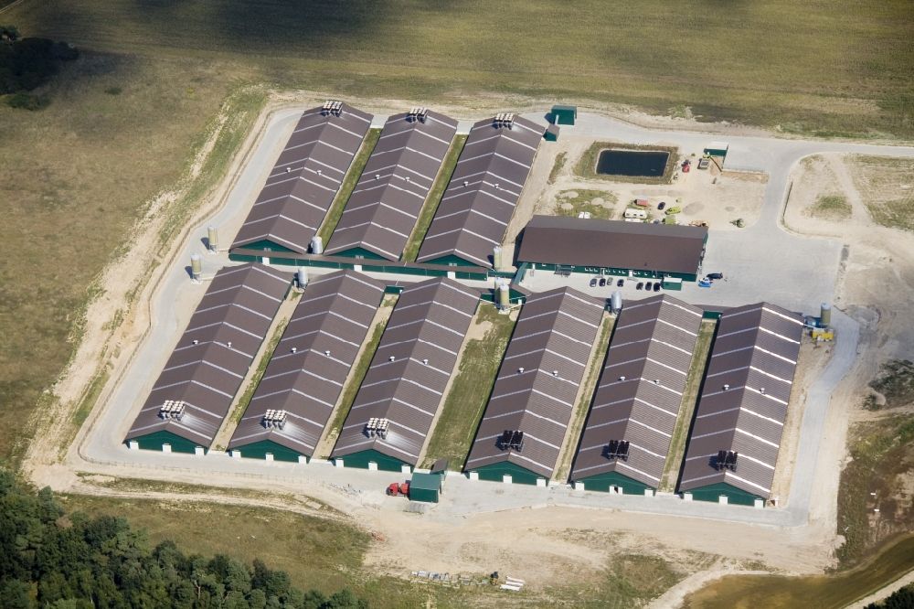 Luftbild Bestensee - Anlage der Landkost Geflügelzucht in Bestensee im Bundesland Brandenburg