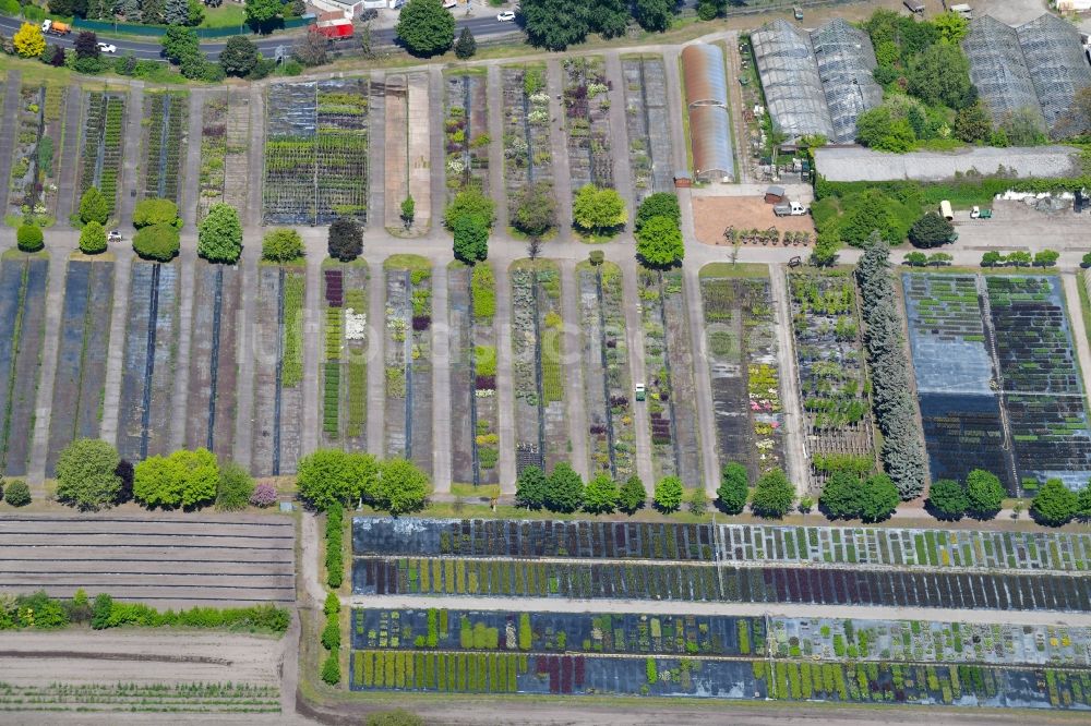 Luftaufnahme Berlin - Areal des Pflanzenmarkt Späth´sche Baumschule an der Späthstraße im Ortsteil Baumschulenweg in Berlin