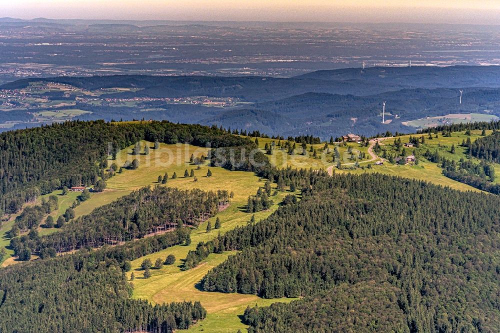 Waldkirch aus der Vogelperspektive: AStreckenverlauf der L 186 Passhöhe am Kandel in Waldkirch im Bundesland Baden-Württemberg, Deutschland