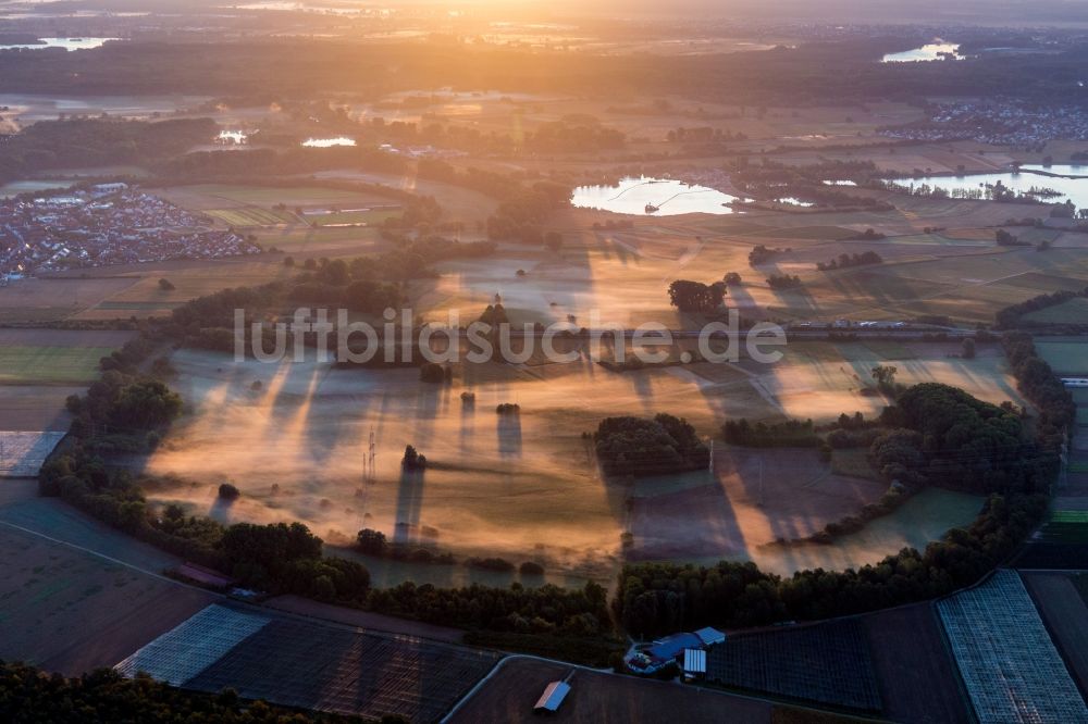 Luftaufnahme Leimersheim - Auen am früheren kurvenförmigen Flußverlauf des Althrein im Morgennebel in Leimersheim im Bundesland Rheinland-Pfalz, Deutschland
