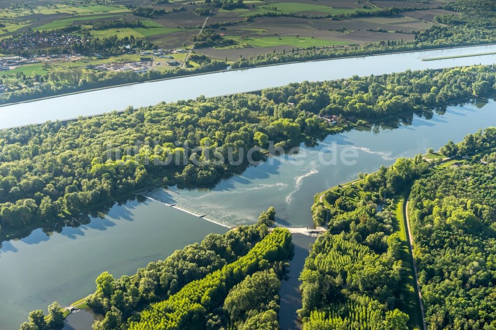 Luftbild Rheinau - Auen Landschaft an den Uferbereichen des Taubergiessen und Rhein Flussverlaufes in Rheinau im Bundesland Baden-Württemberg