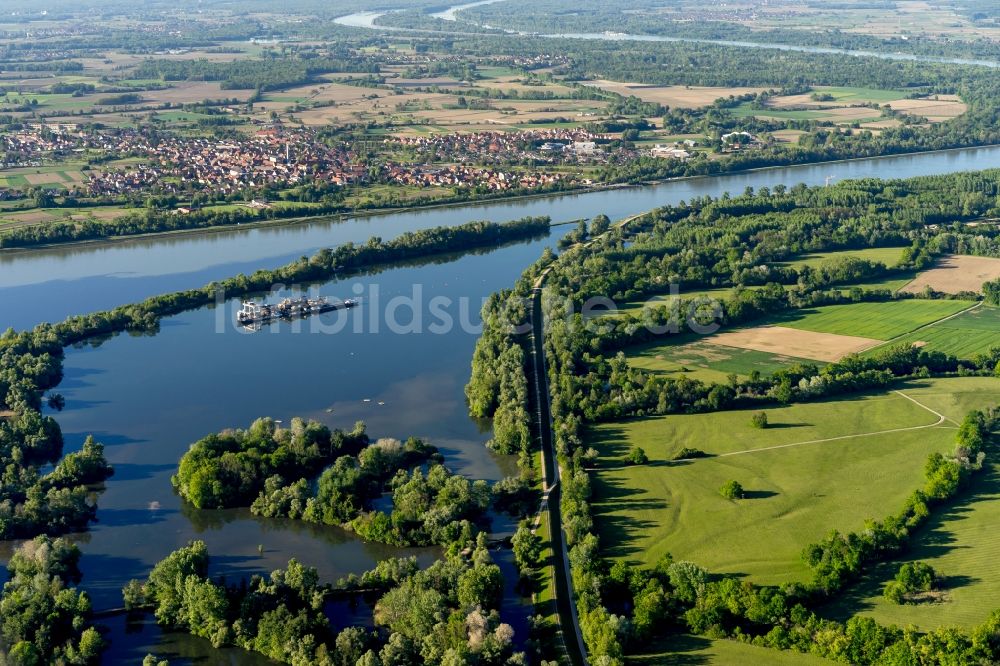 Luftaufnahme Rheinau - Auen Landschaft an den Uferbereichen des Taubergiessen und Rhein Flussverlaufes in Rheinau im Bundesland Baden-Württemberg