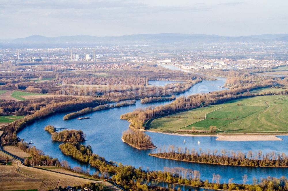 Otterstadt von oben - Auen am Uferbereich des Flußverlauf des Angelhofer Altrhein in Otterstadt im Bundesland Rheinland-Pfalz, Deutschland