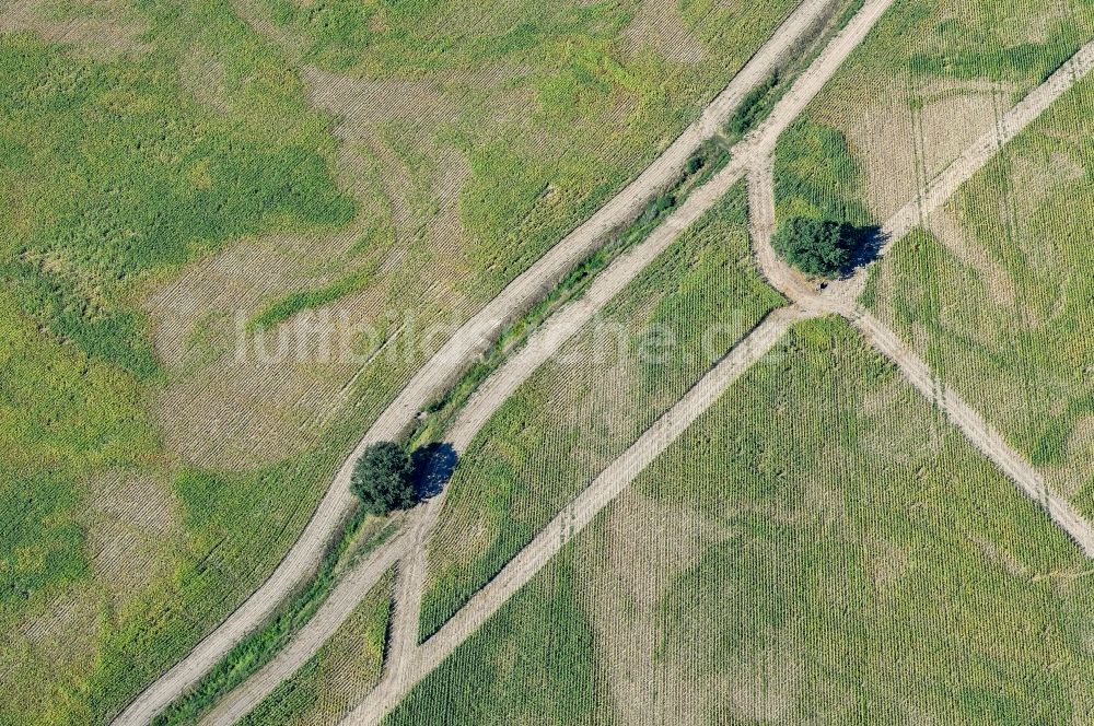 Luftaufnahme Drebkau - Ausgetrocknete Maisfeld- Strukturen in Drebkau im Bundesland Brandenburg, Deutschland
