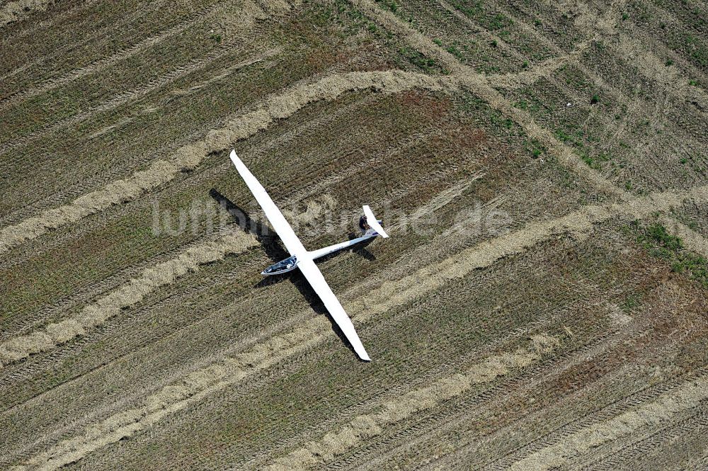 Luftbild KARLSFELD - Außenlandung eines Segelfliegers DG-100 in einem Getreidefeld bei Karlsfeld in Sachsen-Anhalt