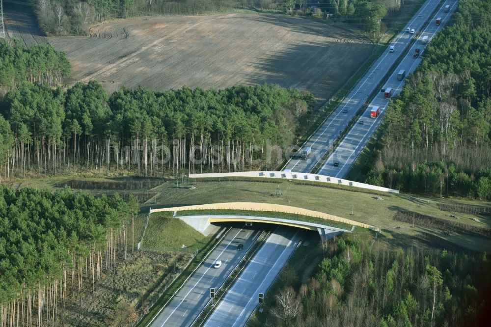 Luftbild Briesen (Mark) - Autobahn- Brückenbauwerk einer als Grünbrücke angelegten Wildbrücke - Wildwechselbrücke der BAB A12 in Briesen (Mark) im Bundesland Brandenburg