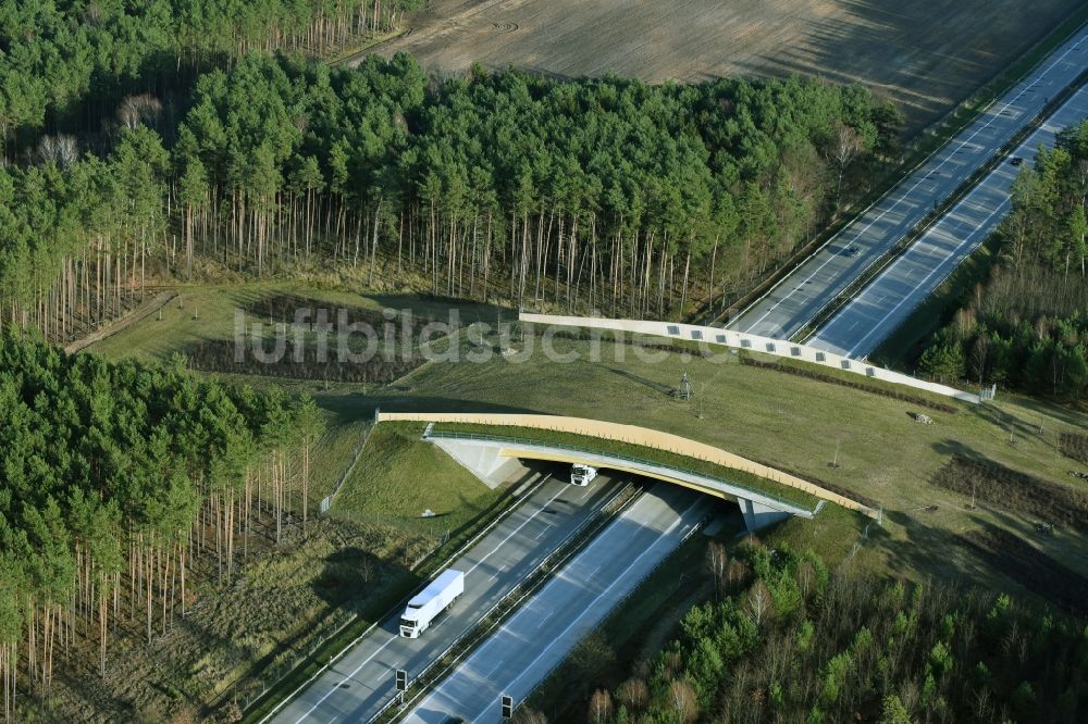 Luftaufnahme Briesen (Mark) - Autobahn- Brückenbauwerk einer als Grünbrücke angelegten Wildbrücke - Wildwechselbrücke der BAB A12 in Briesen (Mark) im Bundesland Brandenburg