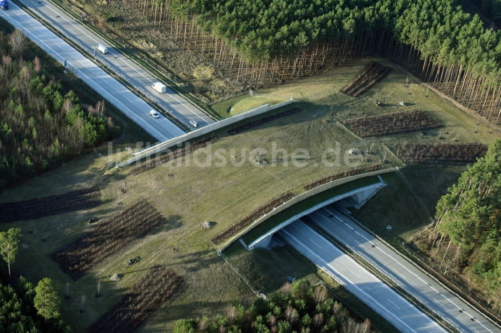 Luftaufnahme Briesen (Mark) - Autobahn- Brückenbauwerk einer als Grünbrücke angelegten Wildbrücke - Wildwechselbrücke der BAB A12 in Briesen (Mark) im Bundesland Brandenburg