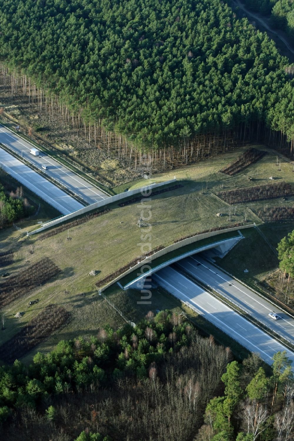 Briesen (Mark) von oben - Autobahn- Brückenbauwerk einer als Grünbrücke angelegten Wildbrücke - Wildwechselbrücke der BAB A12 in Briesen (Mark) im Bundesland Brandenburg