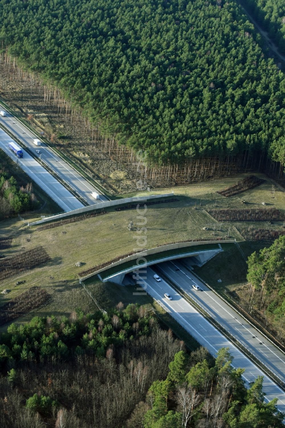 Briesen (Mark) aus der Vogelperspektive: Autobahn- Brückenbauwerk einer als Grünbrücke angelegten Wildbrücke - Wildwechselbrücke der BAB A12 in Briesen (Mark) im Bundesland Brandenburg