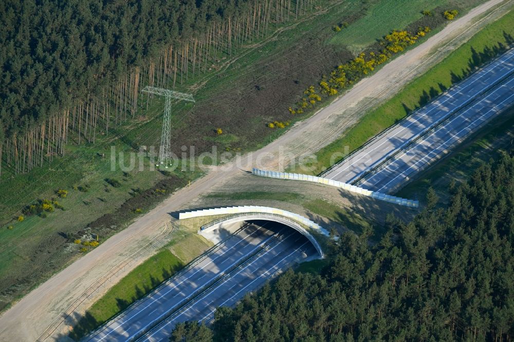 Luftaufnahme Beckentin - Autobahn- Brückenbauwerk einer als Grünbrücke angelegten Wildbrücke - Wildwechselbrücke über die BAB A14 in Beckentin im Bundesland Mecklenburg-Vorpommern, Deutschland