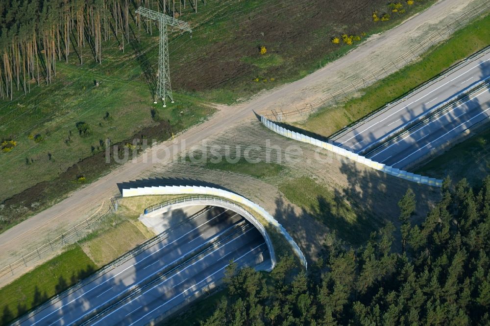 Beckentin von oben - Autobahn- Brückenbauwerk einer als Grünbrücke angelegten Wildbrücke - Wildwechselbrücke über die BAB A14 in Beckentin im Bundesland Mecklenburg-Vorpommern, Deutschland