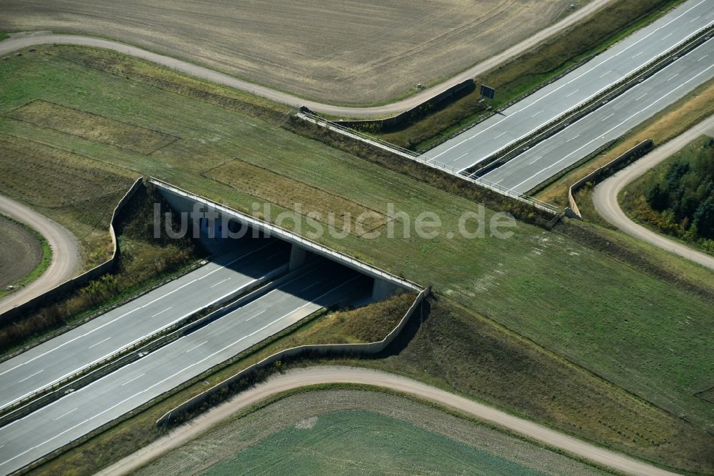 Luftaufnahme Frohburg - Autobahn- Brückenbauwerk einer als Grünbrücke angelegten Wildbrücke - Wildwechselbrücke über die BAB A72 in Frohburg im Bundesland Sachsen