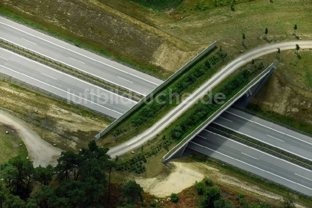 Garlin aus der Vogelperspektive: Autobahn- Brückenbauwerk einer als Grünbrücke angelegten Wildbrücke - Wildwechselbrücke über die BAB A14 in Garlin im Bundesland Brandenburg, Deutschland