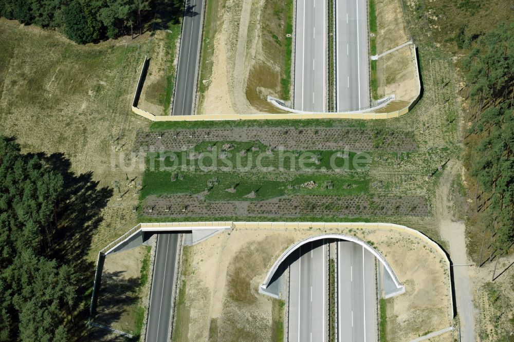Luftaufnahme Groß Warnow - Autobahn- Brückenbauwerk einer als Grünbrücke angelegten Wildbrücke - Wildwechselbrücke über die BAB A14 in Groß Warnow im Bundesland Brandenburg
