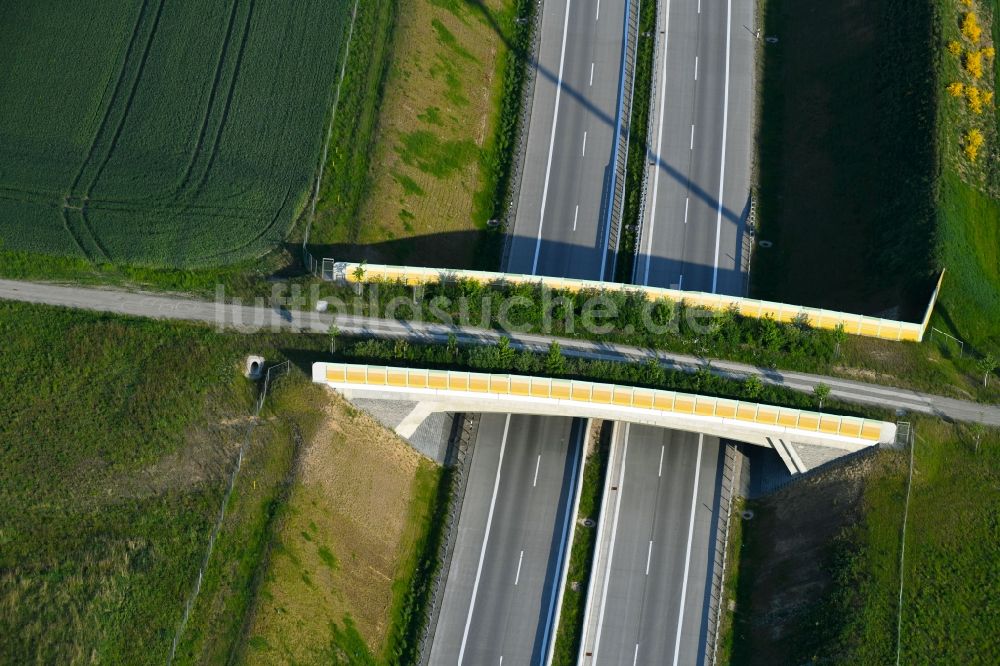 Luftaufnahme Groß Warnow - Autobahn- Brückenbauwerk einer als Grünbrücke angelegten Wildbrücke - Wildwechselbrücke über die BAB A14 in Groß Warnow im Bundesland Brandenburg, Deutschland