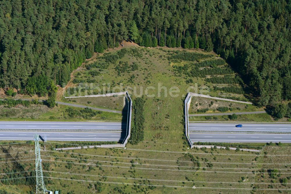 Gudow von oben - Autobahn- Brückenbauwerk einer als Grünbrücke angelegten Wildbrücke - Wildwechselbrücke über die BAB A24 in Gudow im Bundesland Schleswig-Holstein, Deutschland