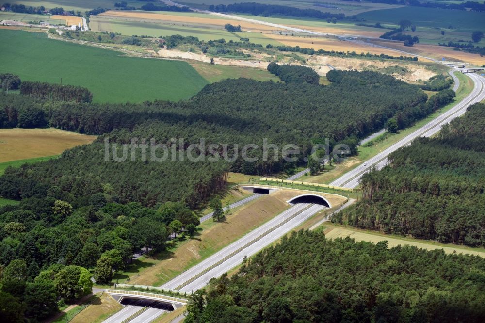 Karstädt von oben - Autobahn- Brückenbauwerk einer als Grünbrücke angelegten Wildbrücke - Wildwechselbrücke über die BAB A14 in Karstädt im Bundesland Brandenburg, Deutschland