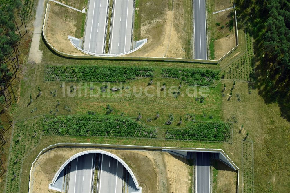 Karstädt aus der Vogelperspektive: Autobahn- Brückenbauwerk einer als Grünbrücke angelegten Wildbrücke - Wildwechselbrücke über die BAB A14 in Karstädt im Bundesland Brandenburg, Deutschland