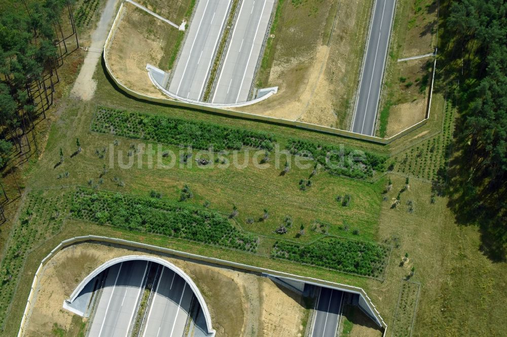 Luftbild Karstädt - Autobahn- Brückenbauwerk einer als Grünbrücke angelegten Wildbrücke - Wildwechselbrücke über die BAB A14 in Karstädt im Bundesland Brandenburg, Deutschland