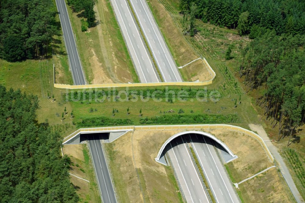 Luftaufnahme Karstädt - Autobahn- Brückenbauwerk einer als Grünbrücke angelegten Wildbrücke - Wildwechselbrücke über die BAB A14 in Karstädt im Bundesland Brandenburg, Deutschland