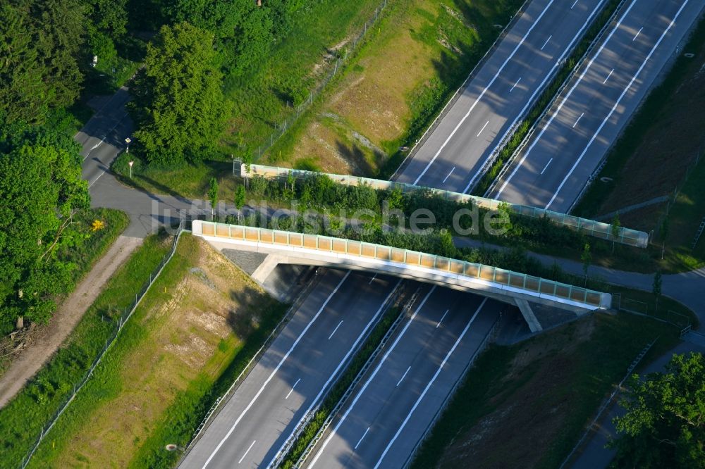Luftaufnahme Karstädt - Autobahn- Brückenbauwerk einer als Grünbrücke angelegten Wildbrücke - Wildwechselbrücke über die BAB A14 in Karstädt im Bundesland Brandenburg, Deutschland