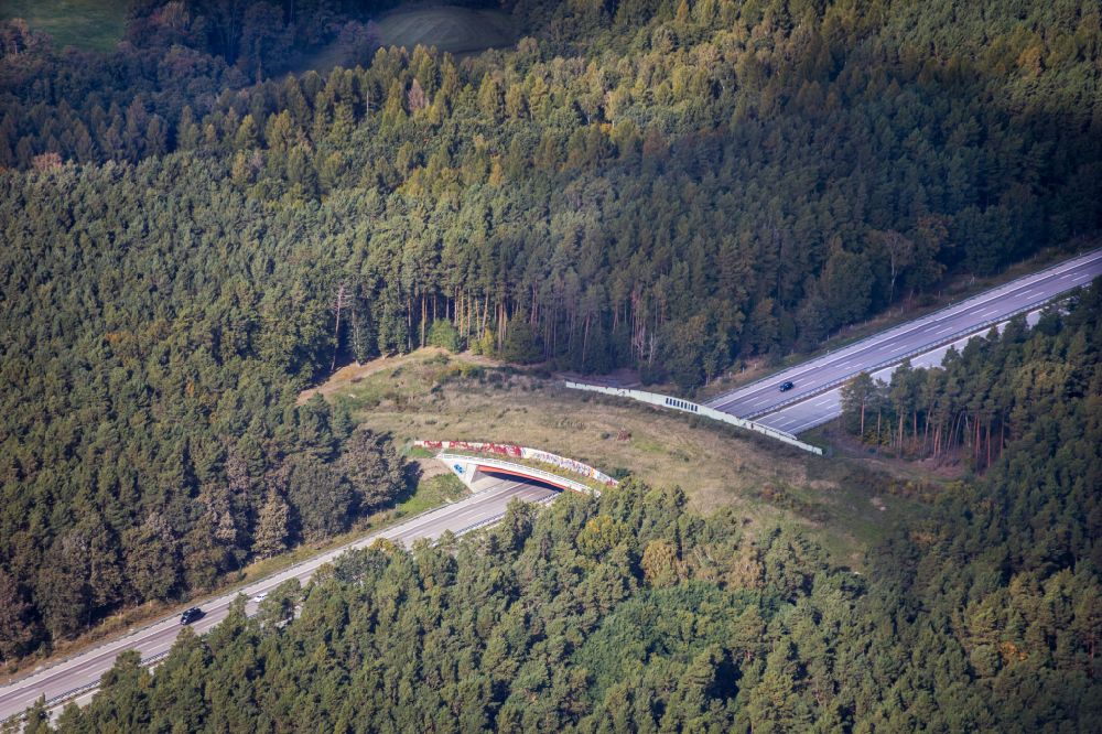 Luftaufnahme Niemegk - Autobahn- Brückenbauwerk einer als Grünbrücke angelegten Wildbrücke - Wildwechselbrücke über die BAB A9 in Niemegk im Bundesland Brandenburg, Deutschland