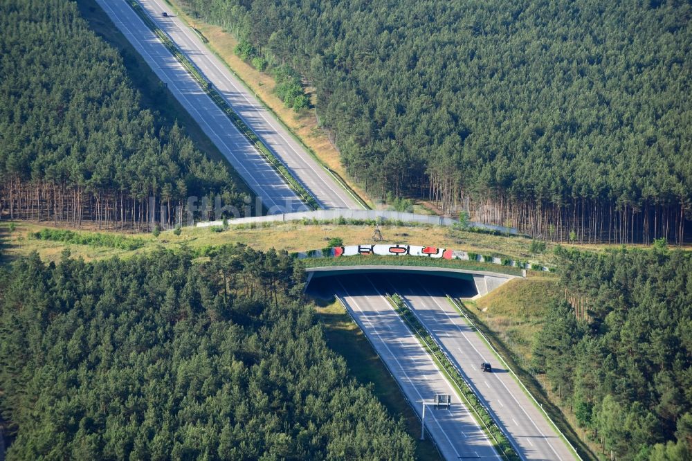 Luftaufnahme Teupitz - Autobahn- Brückenbauwerk einer als Grünbrücke angelegten Wildbrücke - Wildwechselbrücke über die BAB A13 in Teupitz im Bundesland Brandenburg, Deutschland