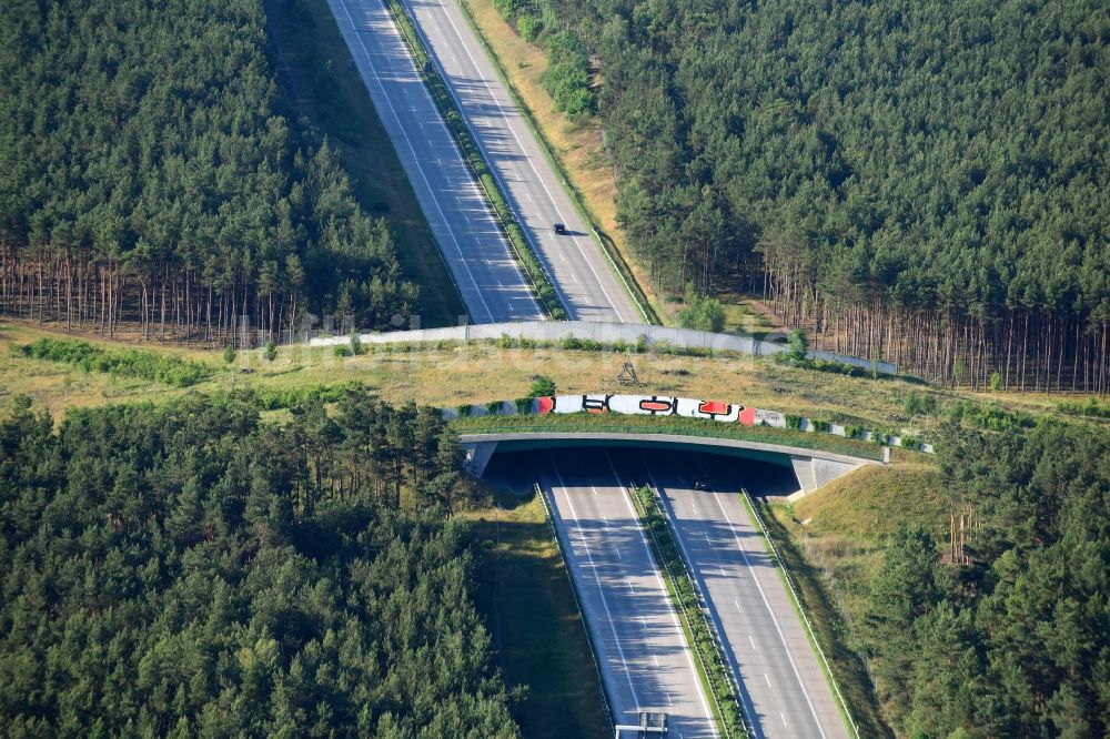 Teupitz von oben - Autobahn- Brückenbauwerk einer als Grünbrücke angelegten Wildbrücke - Wildwechselbrücke über die BAB A13 in Teupitz im Bundesland Brandenburg, Deutschland