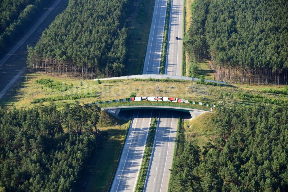 Teupitz von oben - Autobahn- Brückenbauwerk einer als Grünbrücke angelegten Wildbrücke - Wildwechselbrücke über die BAB A13 in Teupitz im Bundesland Brandenburg, Deutschland