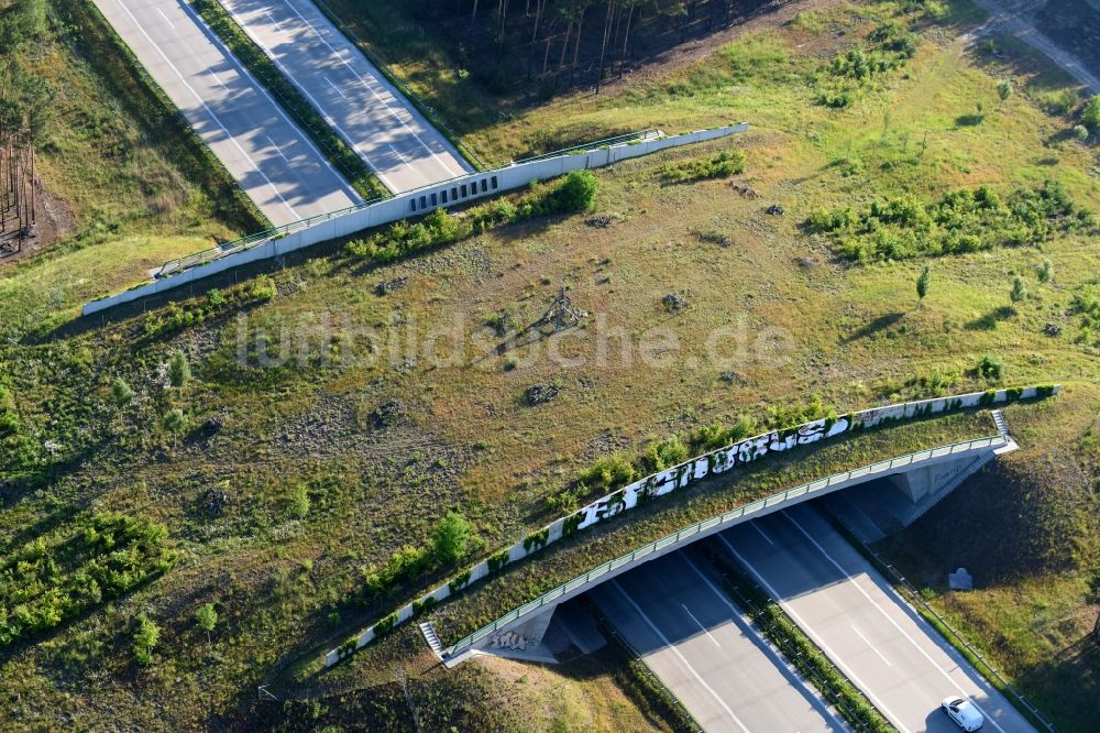 Teupitz aus der Vogelperspektive: Autobahn- Brückenbauwerk einer als Grünbrücke angelegten Wildbrücke - Wildwechselbrücke über die BAB A13 in Teupitz im Bundesland Brandenburg, Deutschland