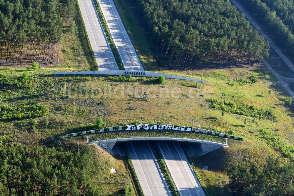 Luftbild Teupitz - Autobahn- Brückenbauwerk einer als Grünbrücke angelegten Wildbrücke - Wildwechselbrücke über die BAB A13 in Teupitz im Bundesland Brandenburg, Deutschland