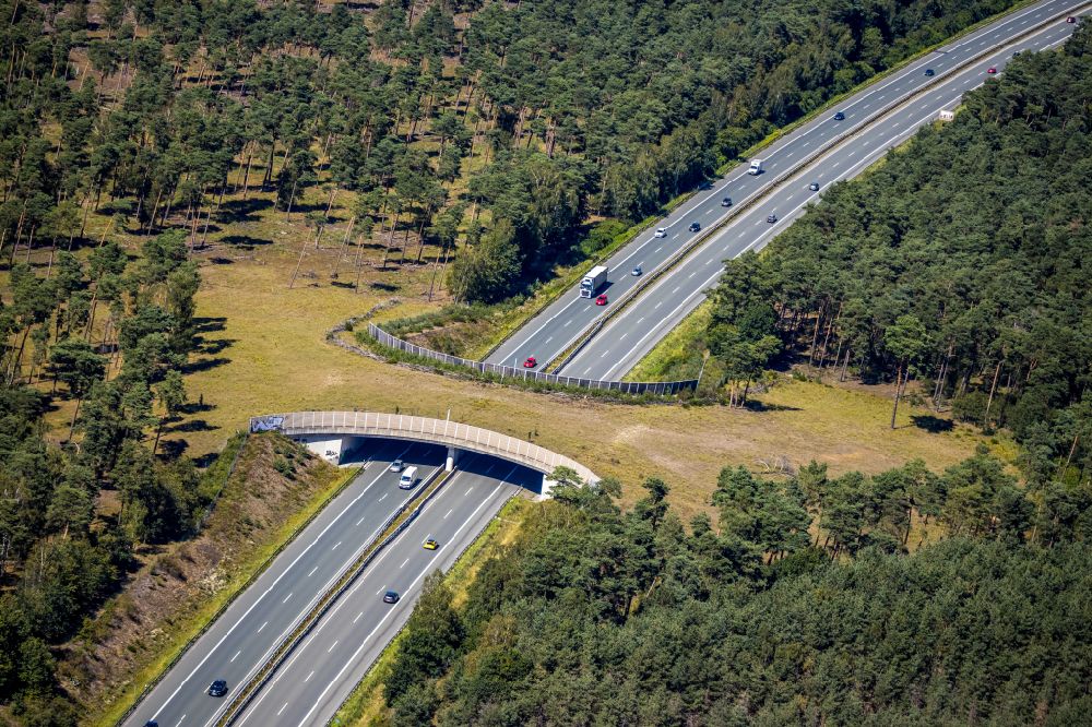 Schermbeck aus der Vogelperspektive: Autobahn- Brückenbauwerk einer als Grünbrücke angelegten Wildbrücke - Wildwechselbrücke in Schermbeck im Bundesland Nordrhein-Westfalen, Deutschland