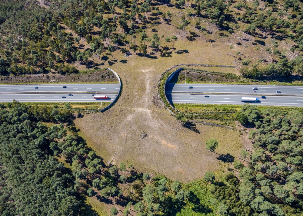 Luftaufnahme Schermbeck - Autobahn- Brückenbauwerk einer als Grünbrücke angelegten Wildbrücke - Wildwechselbrücke in Schermbeck im Bundesland Nordrhein-Westfalen, Deutschland