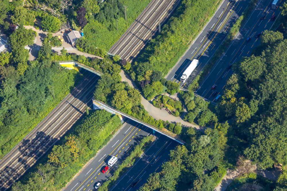 Luftaufnahme Duisburg - Autobahn- Brückenbauwerk - Wildbrücke - über die BAB A3 im Ortsteil Duissern in Duisburg im Bundesland Nordrhein-Westfalen, Deutschland