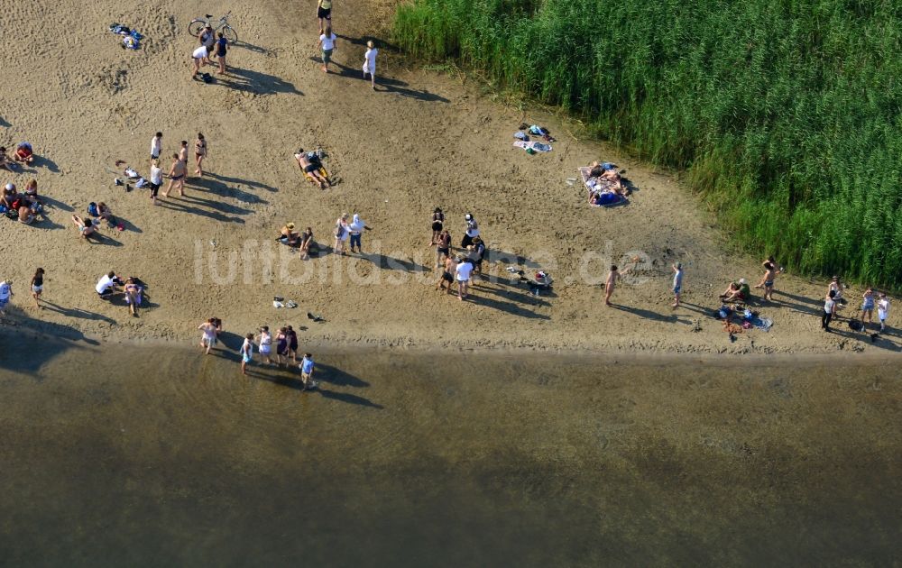 Luftaufnahme Gräfenhainichen - Badespaß und Schwimmvergnügen von Festival- Besuchern am Ufer des Gremminer See bei Gräfenhainichen im Bundesland Sachsen-Anhalt