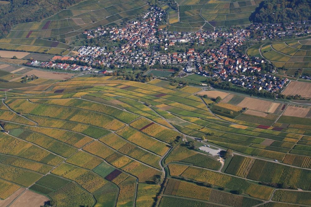 Luftaufnahme Pfaffenweiler - Badischer Wein. Weinanbau auf dem Rebberg Batzenberg bei Pfaffenweiler im Bundesland Baden-Württemberg, Deutschland