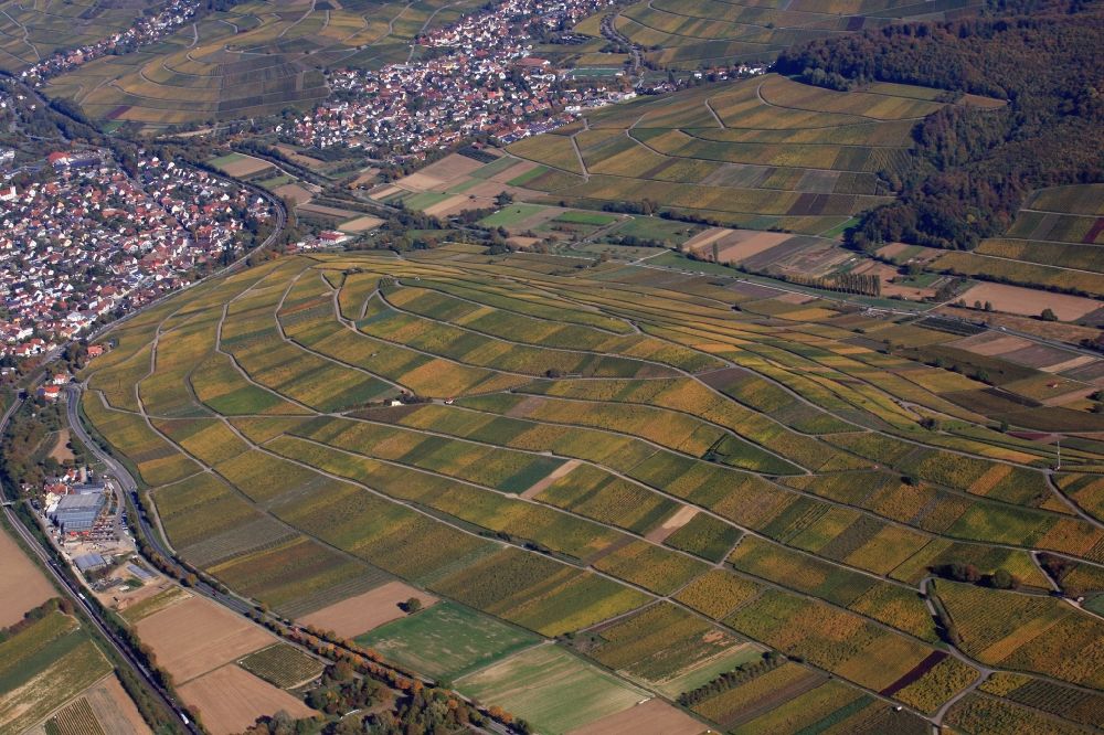 Luftaufnahme Schallstadt - Badischer Wein. Weinanbau auf dem Rebberg Batzenberg in Schallstadt im Bundesland Baden-Württemberg, Deutschland