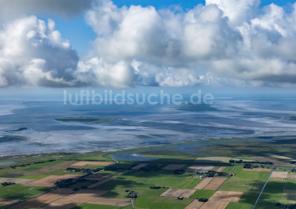 Ockholm aus der Vogelperspektive: Bauernhöfe am Rande von Feldern in Ockholm im Bundesland Schleswig-Holstein, Deutschland