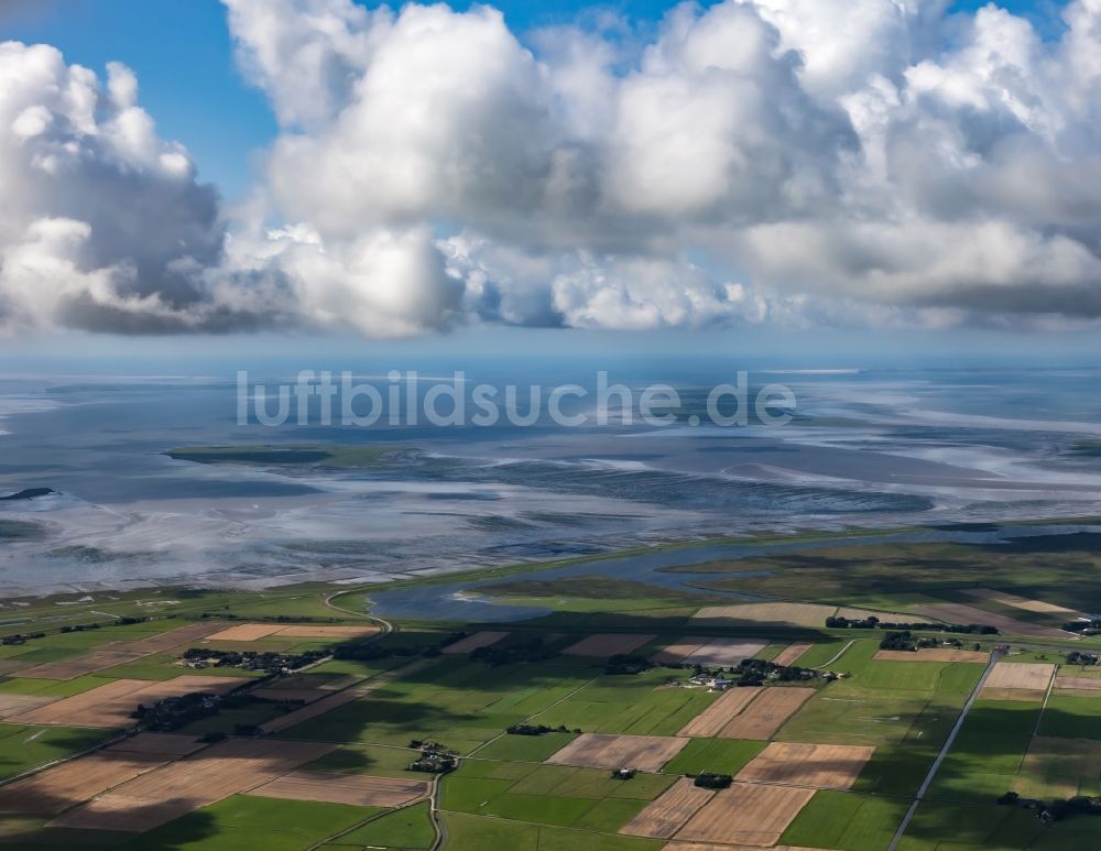 Luftbild Ockholm - Bauernhöfe am Rande von Feldern in Ockholm im Bundesland Schleswig-Holstein, Deutschland