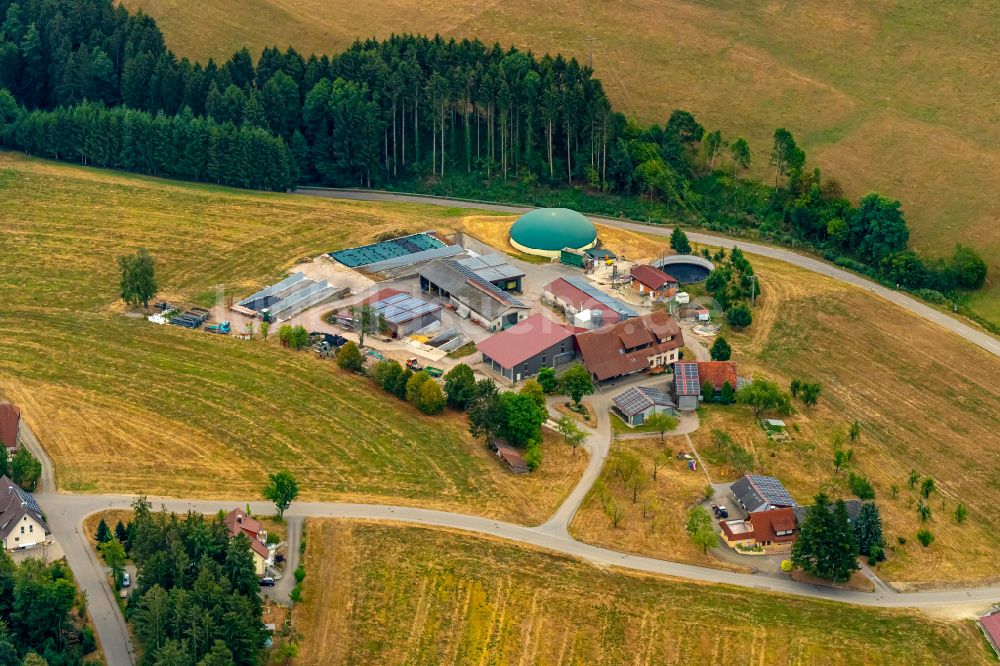Luftbild Freiamt - Bauernhof mit Biogasspeicher- Behälter im Biogaspark in Freiamt im Bundesland Baden-Württemberg, Deutschland